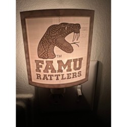 Florida A&M University (FAMU) night light
