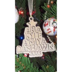 Custom Family Ornaments