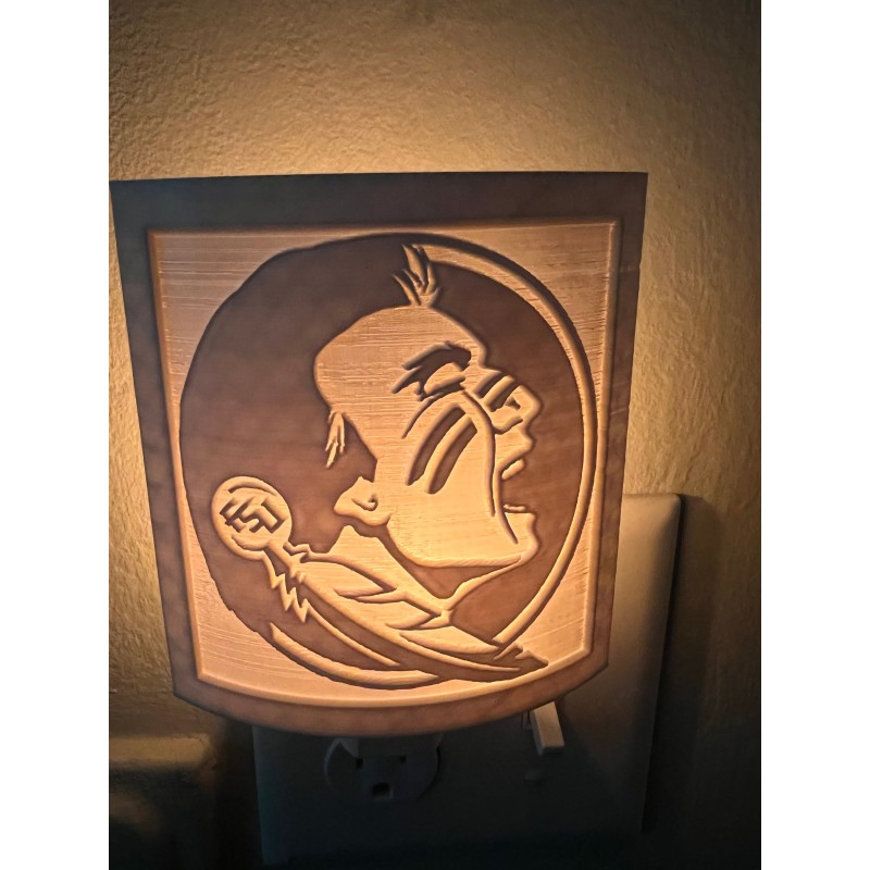 Florida State University (FSU) night light