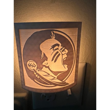 Florida State University (FSU) night light