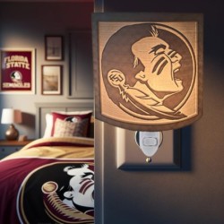 Florida State University (FSU) night light