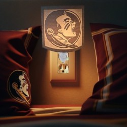Florida State University (FSU) night light